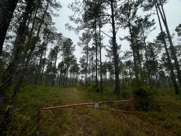 $1,700,000 | 0 Peniel Road, Walterboro, SC 29488