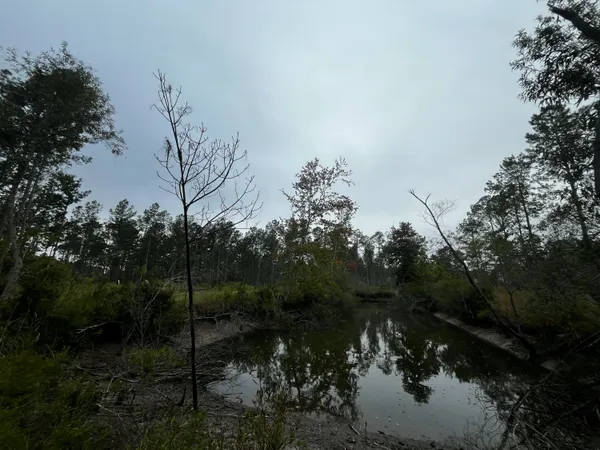 $1,700,000 | 0 Peniel Road, Walterboro, SC 29488