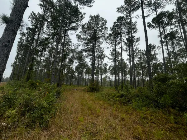 $1,700,000 | 0 Peniel Road, Walterboro, SC 29488