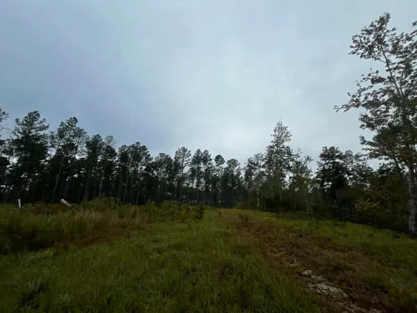 $1,700,000 | 0 Peniel Road, Walterboro, SC 29488