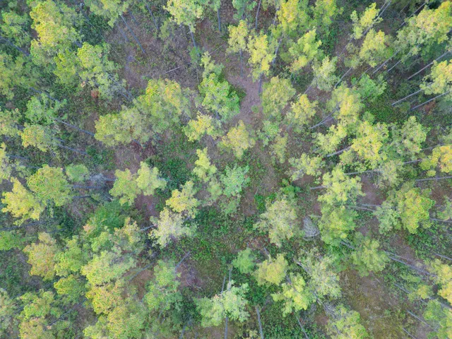 $1,850,000 | 0 Peniel Road, Walterboro, SC 29488