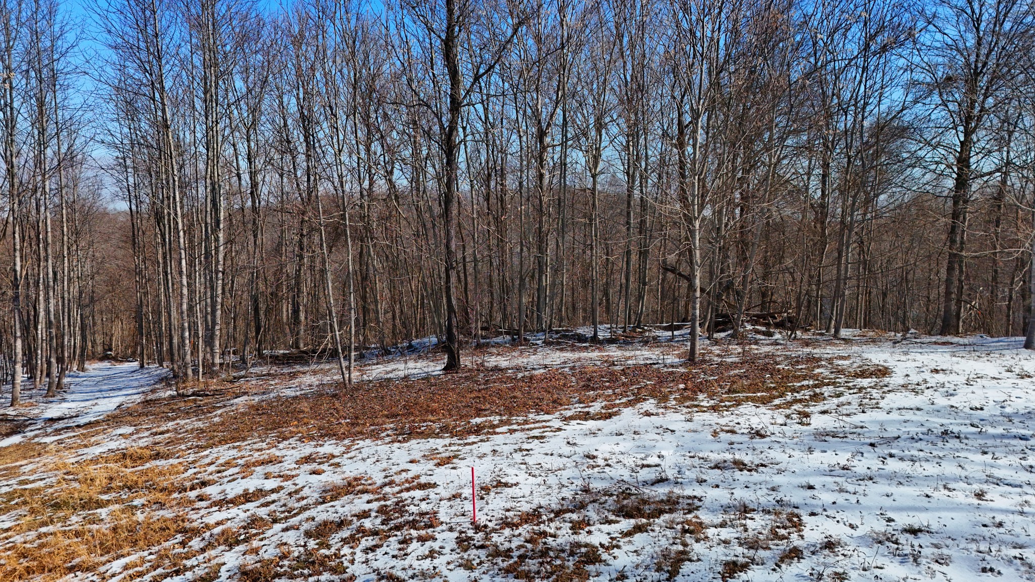 5290 Bedford Creek Road Franklin, TN 37064 - Photo 13 of 26