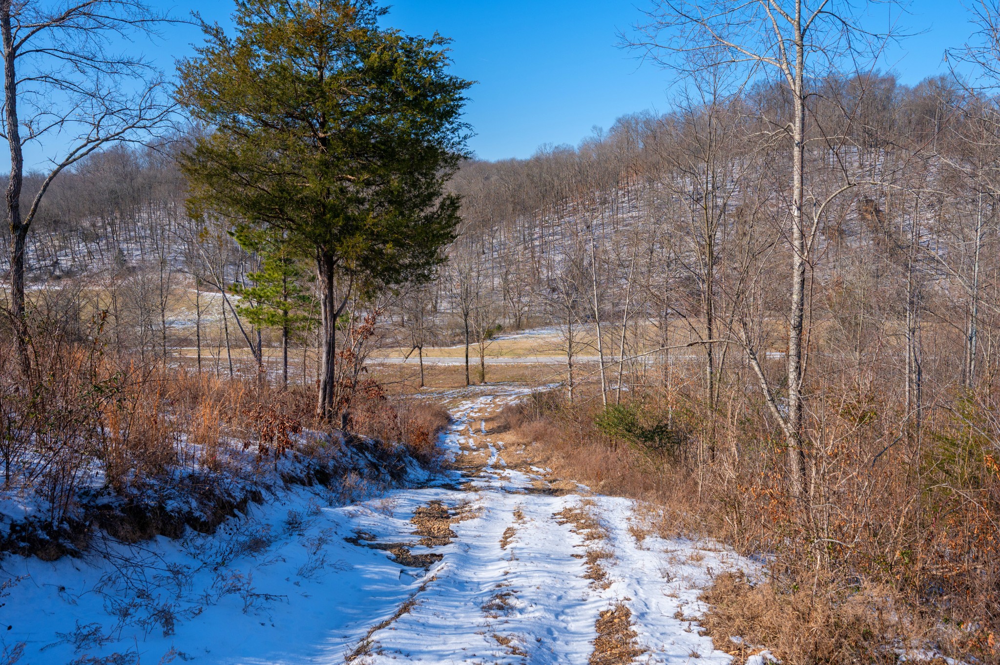 5290 Bedford Creek Road Franklin, TN 37064 - Photo 14 of 26