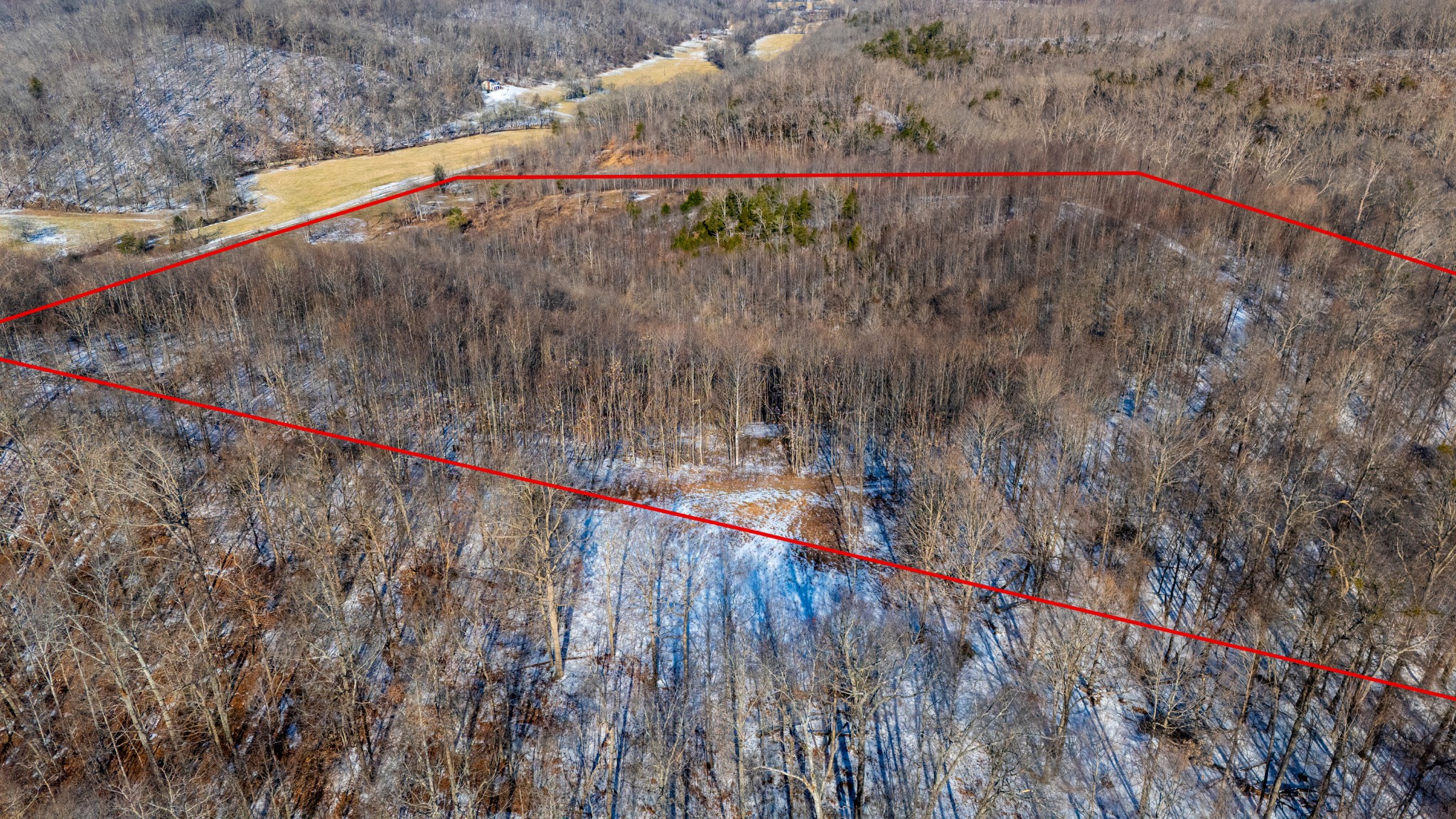 5290 Bedford Creek Road Franklin, TN 37064 - Photo 17 of 26