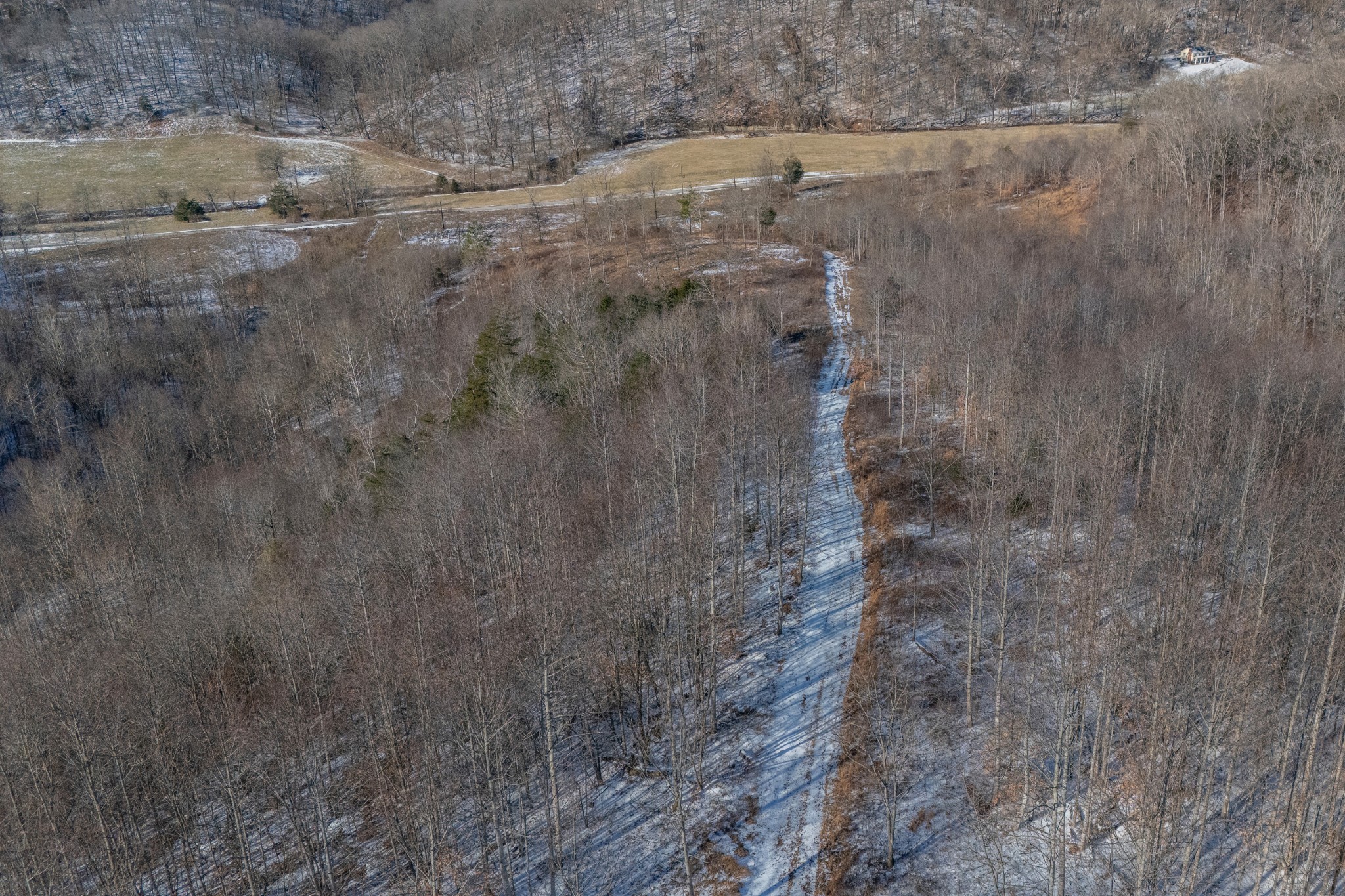 5290 Bedford Creek Road Franklin, TN 37064 - Photo 20 of 26