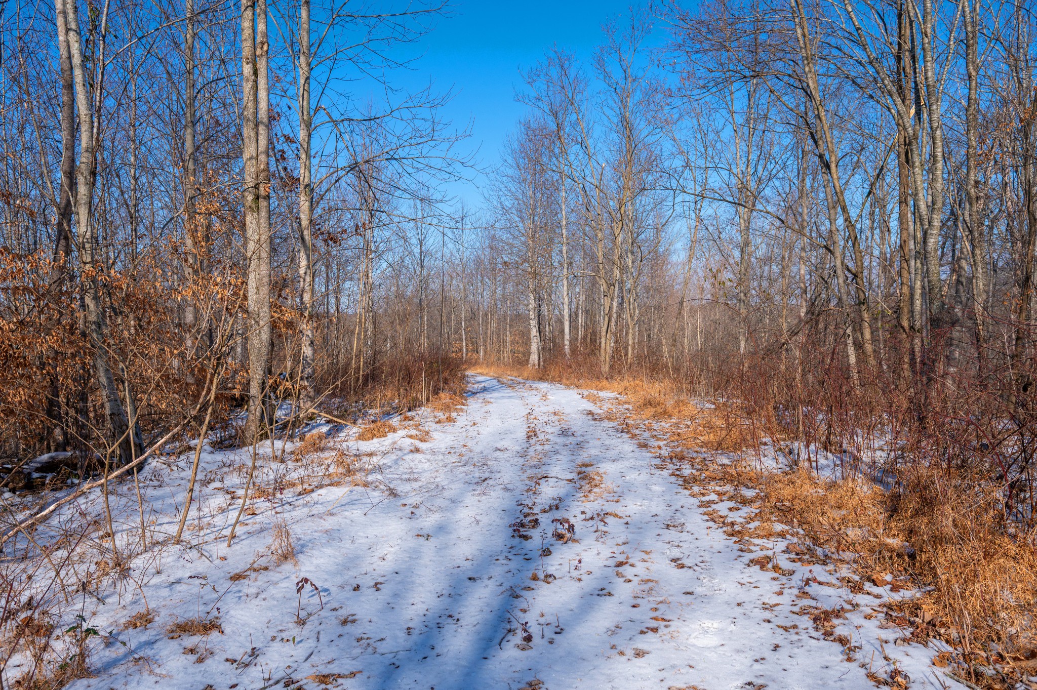 5290 Bedford Creek Road Franklin, TN 37064 - Photo 5 of 26