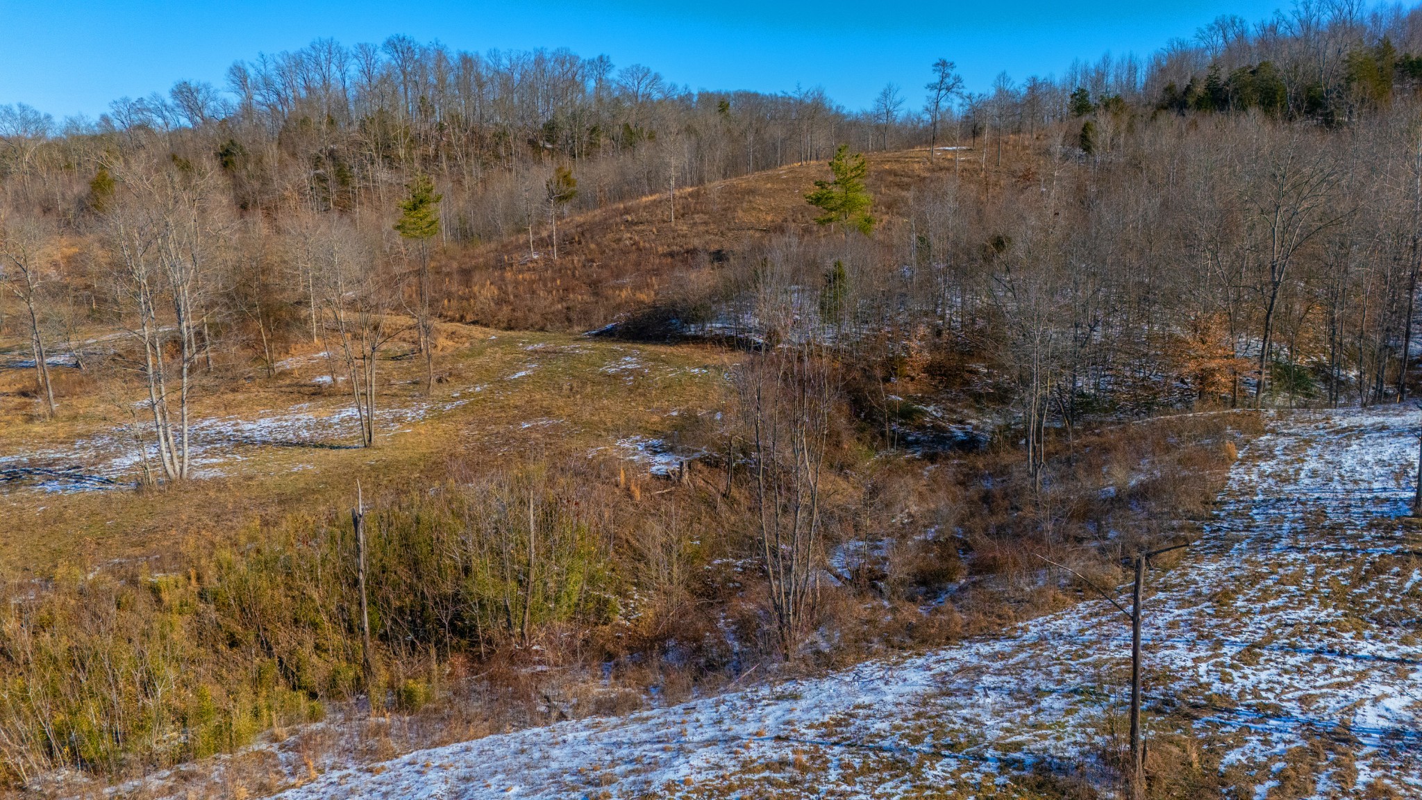 5290 Bedford Creek Road Franklin, TN 37064 - Photo 9 of 26