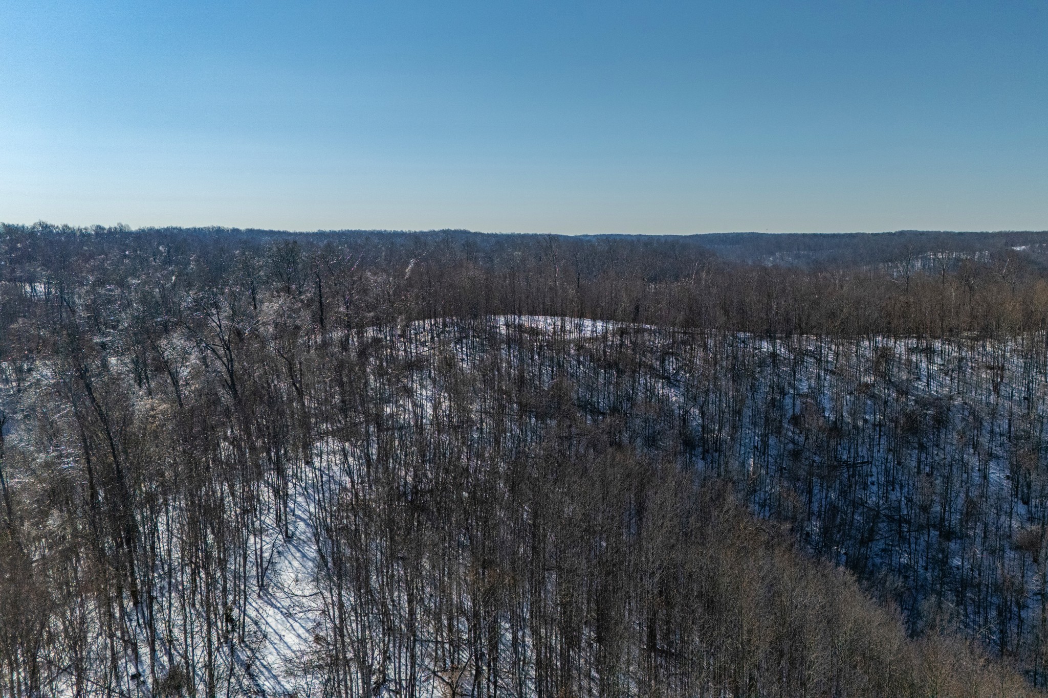 5290 Bedford Creek Road Franklin, TN 37064 - Photo 10 of 26