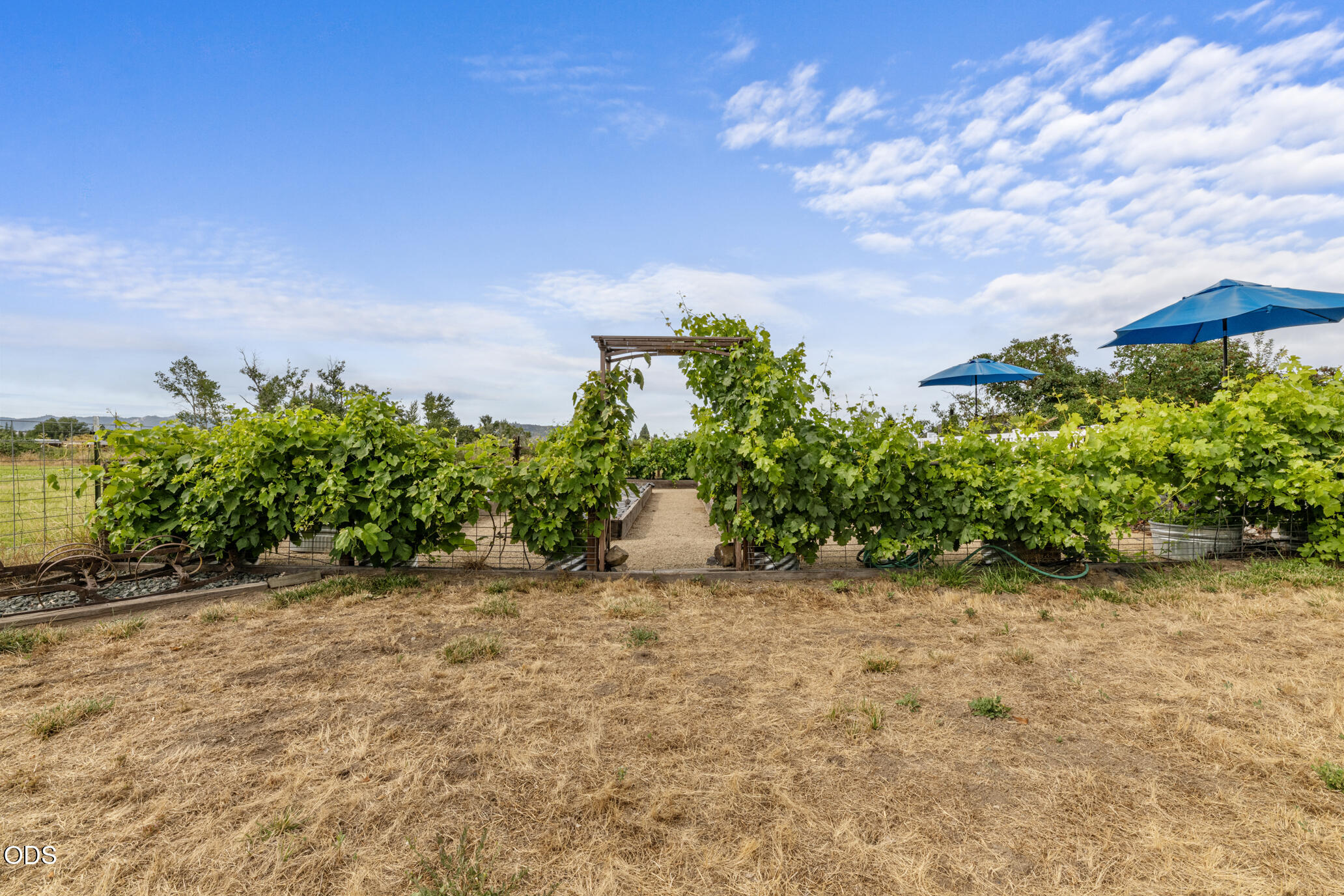 2622 Eric Avenue Central Point, OR 97502 - Photo 58 of 63