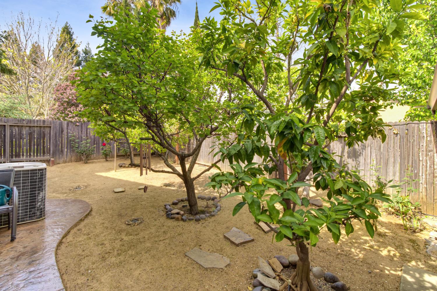516 Rye Court Roseville, CA 95747 - Photo 34 of 43 Numerous Fruit Trees