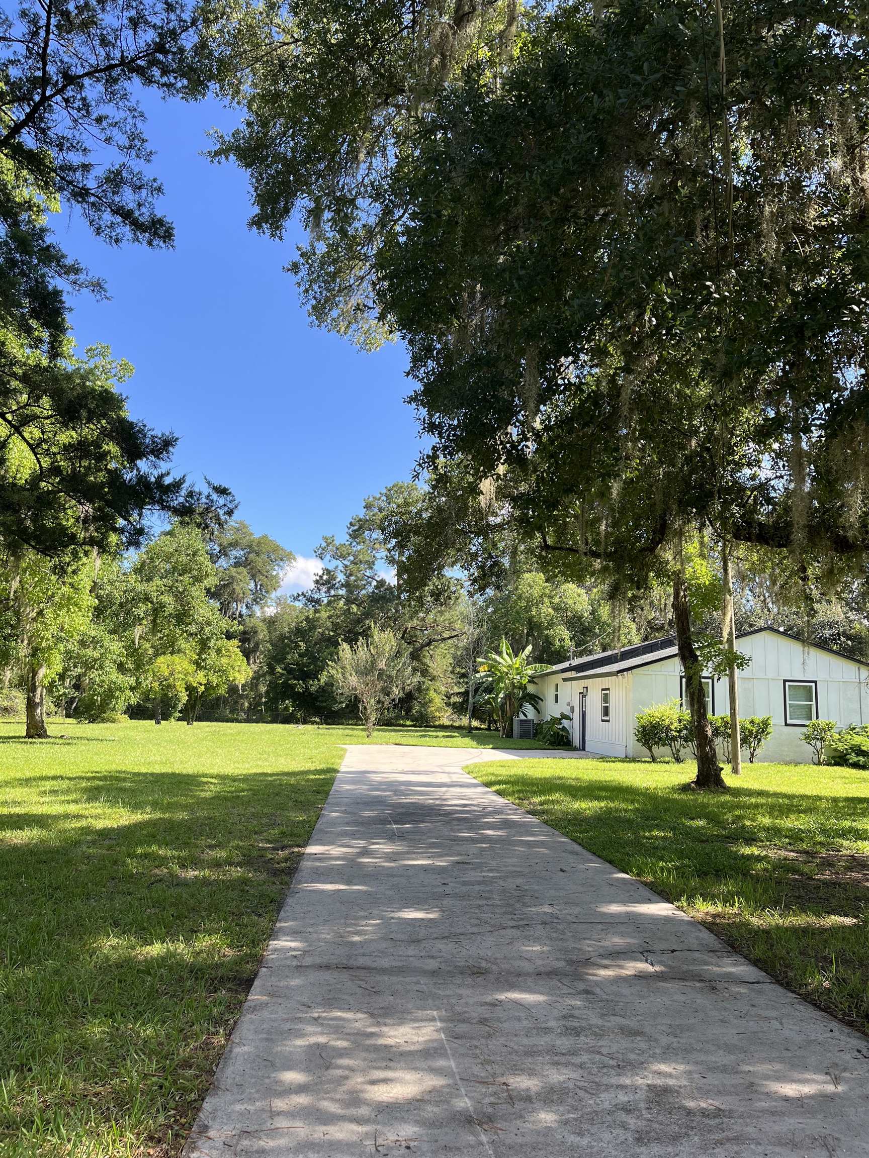 5200 Choctaw Street St. Augustine, FL 32092 - Photo 12 of 29 a view of a yard with plants and large trees