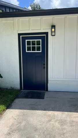 a view of a yard with plants and large trees