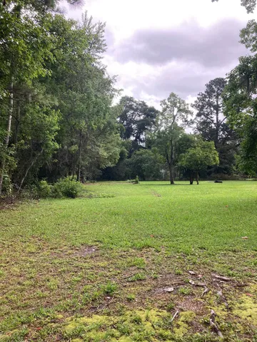 a view of backyard with a barn and a large tree