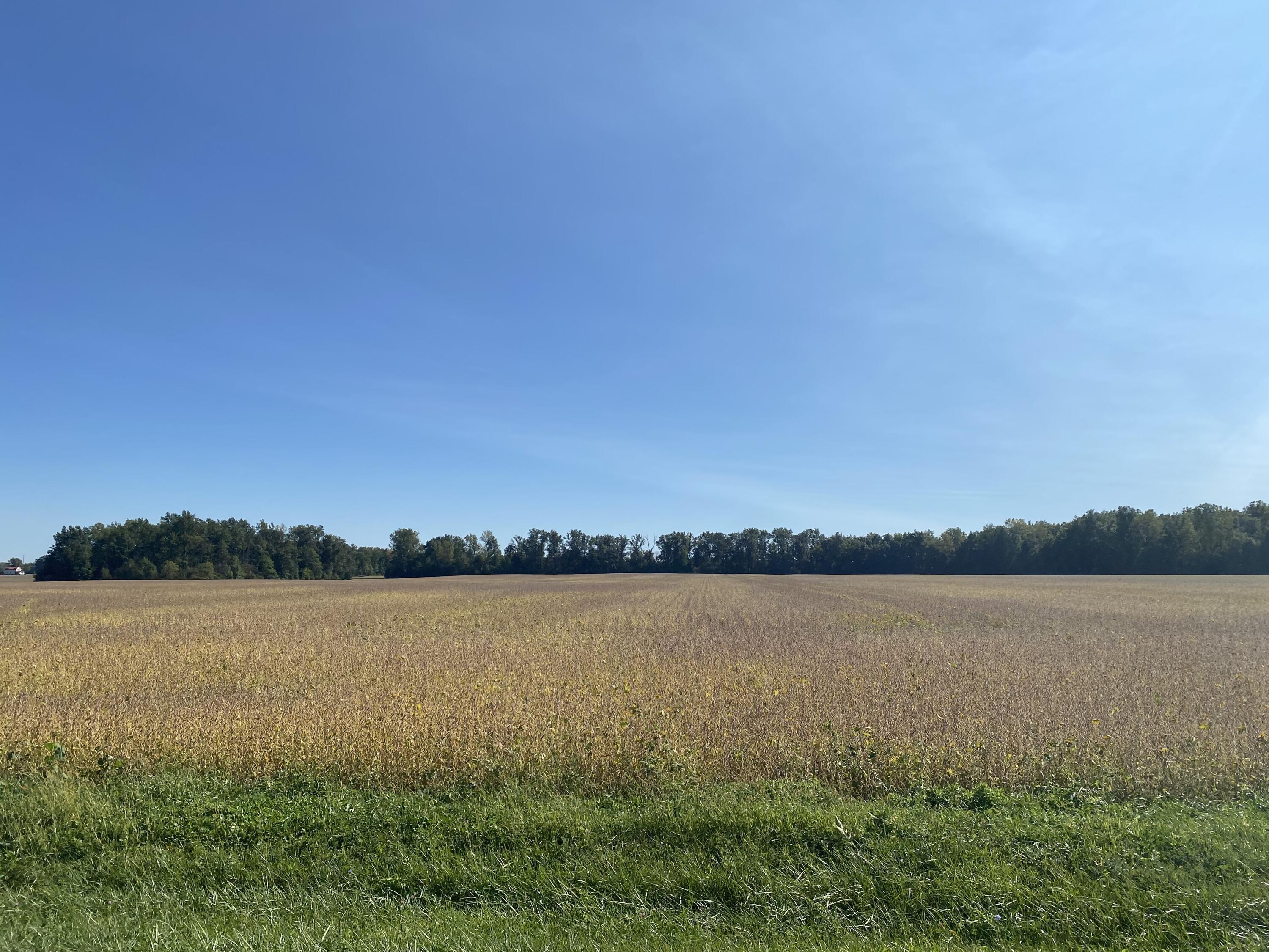 0 T R 52 Lewistown, OH 43333 - Photo 7 of 7