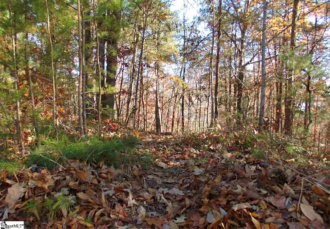 61 Four Views Court Seneca, SC 29672 - Photo 15 of 34 Gallery Image 15