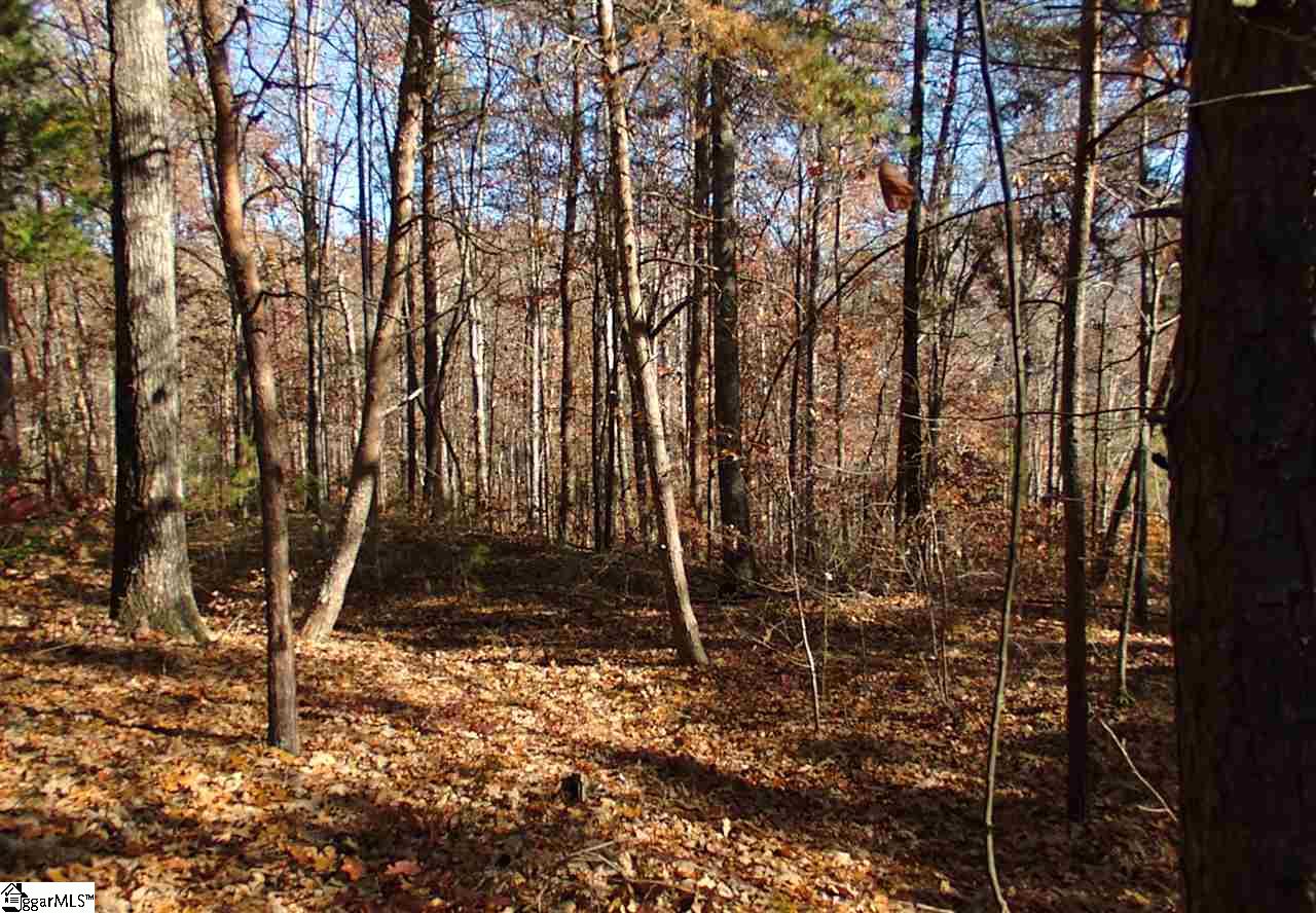 61 Four Views Court Seneca, SC 29672 - Photo 20 of 34 Gallery Image 20
