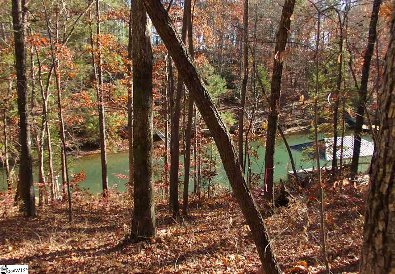 61 Four Views Court Seneca, SC 29672 - Photo 21 of 34 Gallery Image 21