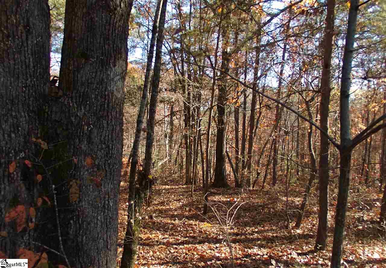 61 Four Views Court Seneca, SC 29672 - Photo 22 of 34 Gallery Image 22