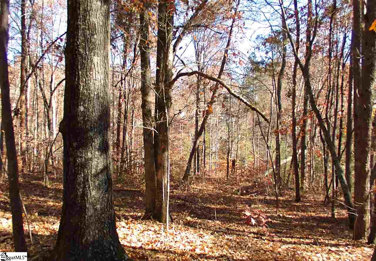 61 Four Views Court Seneca, SC 29672 - Photo 31 of 34 Gallery Image 31