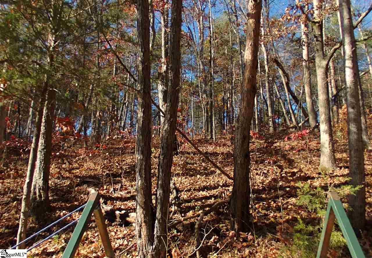 61 Four Views Court Seneca, SC 29672 - Photo 34 of 34 Gallery Image 34