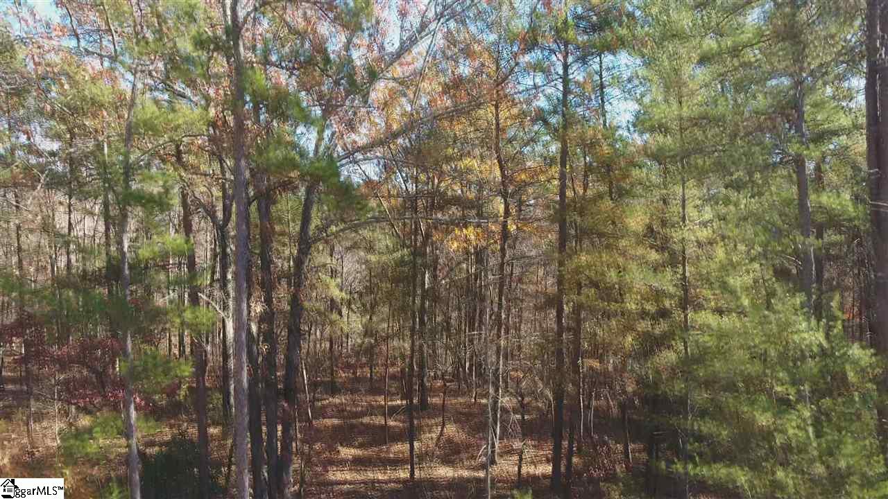 61 Four Views Court Seneca, SC 29672 - Photo 7 of 34 Gallery Image 7