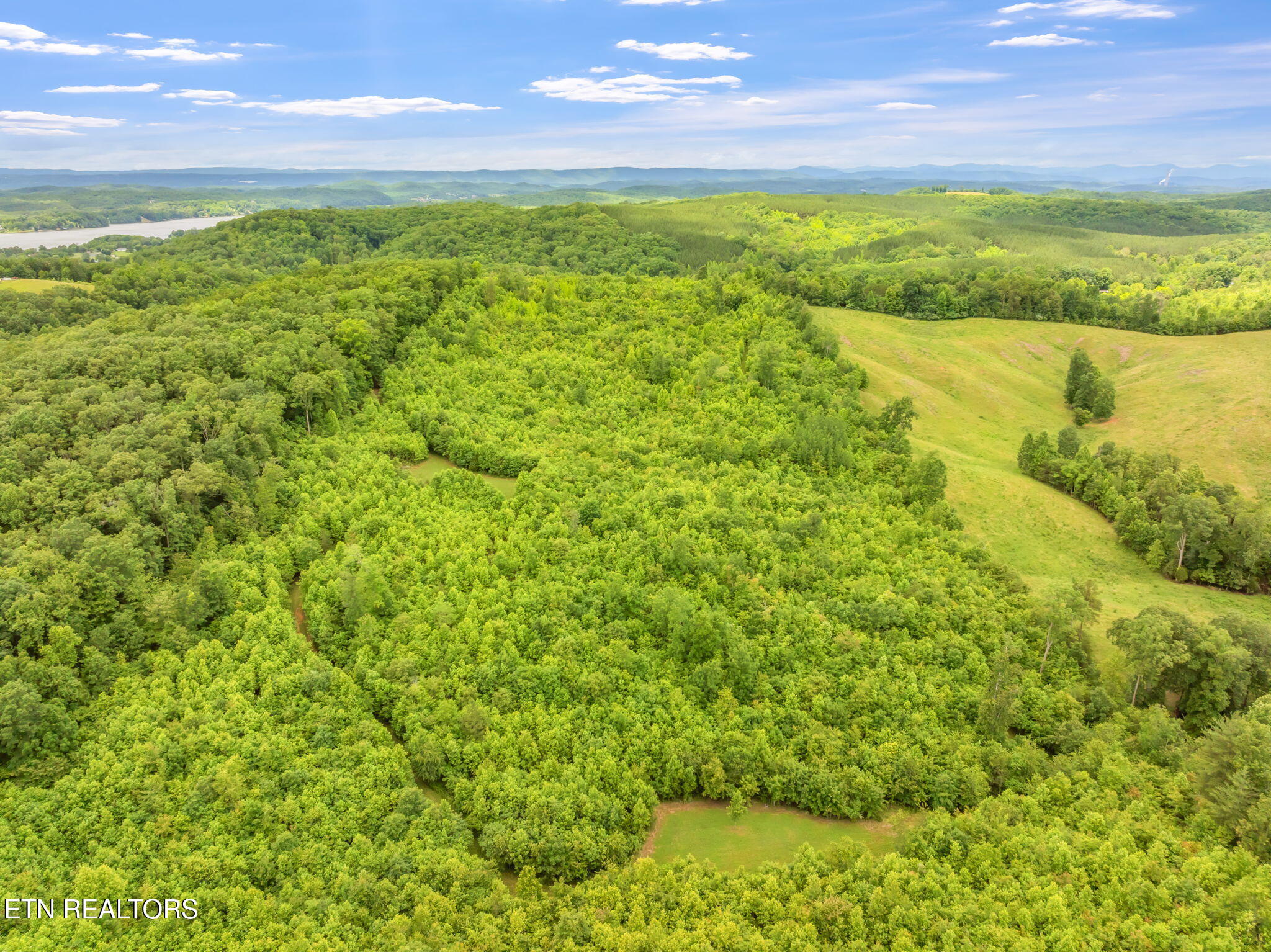 0 Grigsby Hollow Road Kingston, TN 37763 - Photo 24 of 34 13-web-or-mls-Grigsby Hollow Land-10