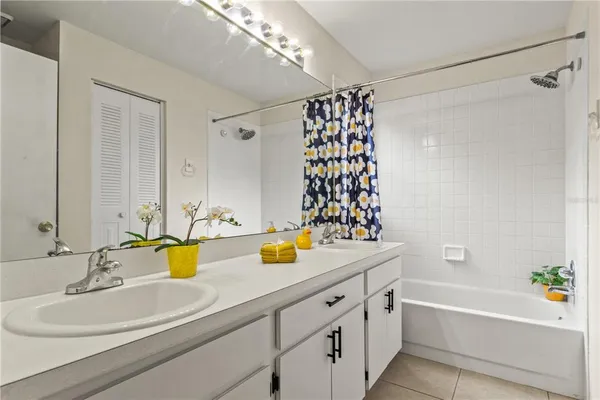 a bathroom with a sink and a bathtub with shower