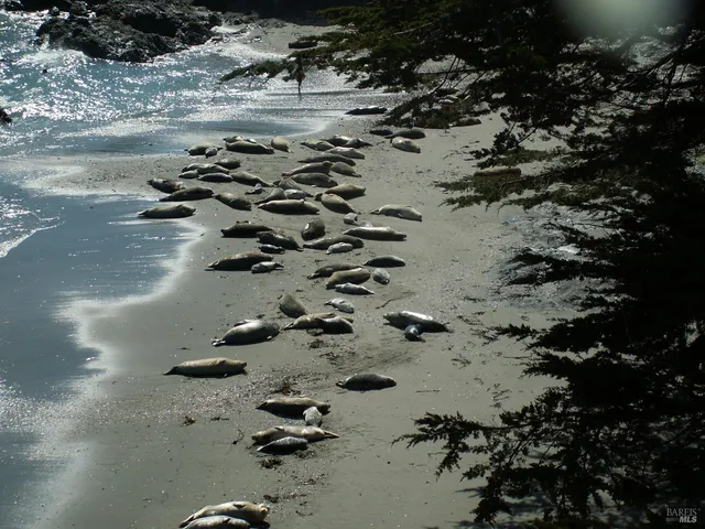 $1,995,000 | 167 Dune Drift Close, The Sea Ranch, CA 95497