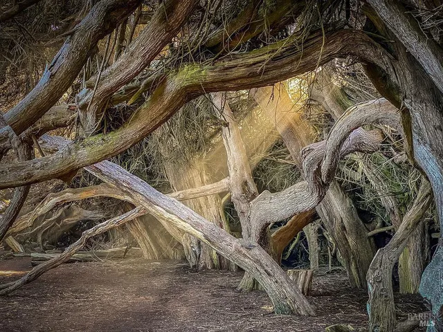 $1,995,000 | 167 Dune Drift Close, The Sea Ranch, CA 95497