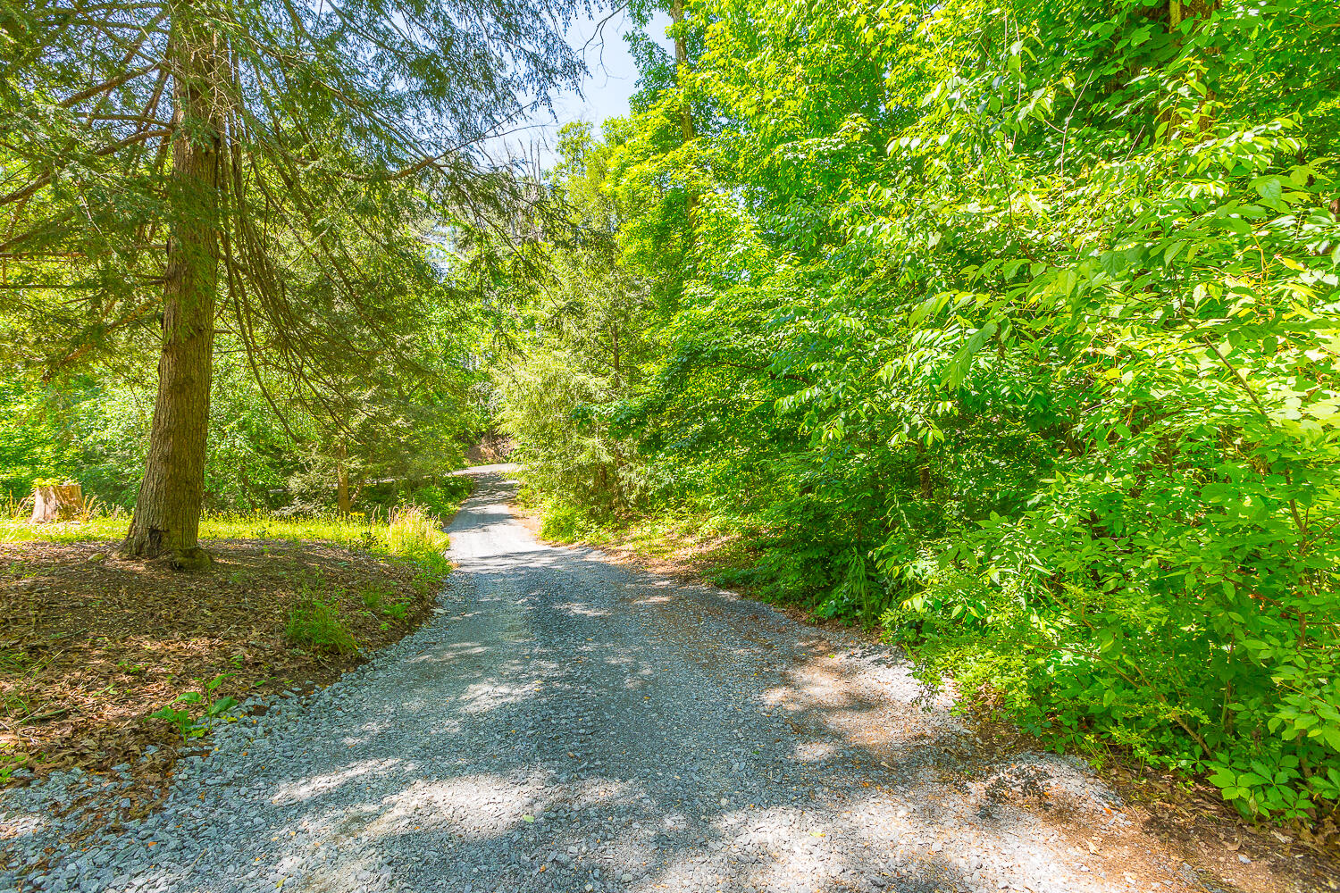 1155 Double S Road Dayton, TN 37321 - Photo 26 of 30 1155 Double S HD -1