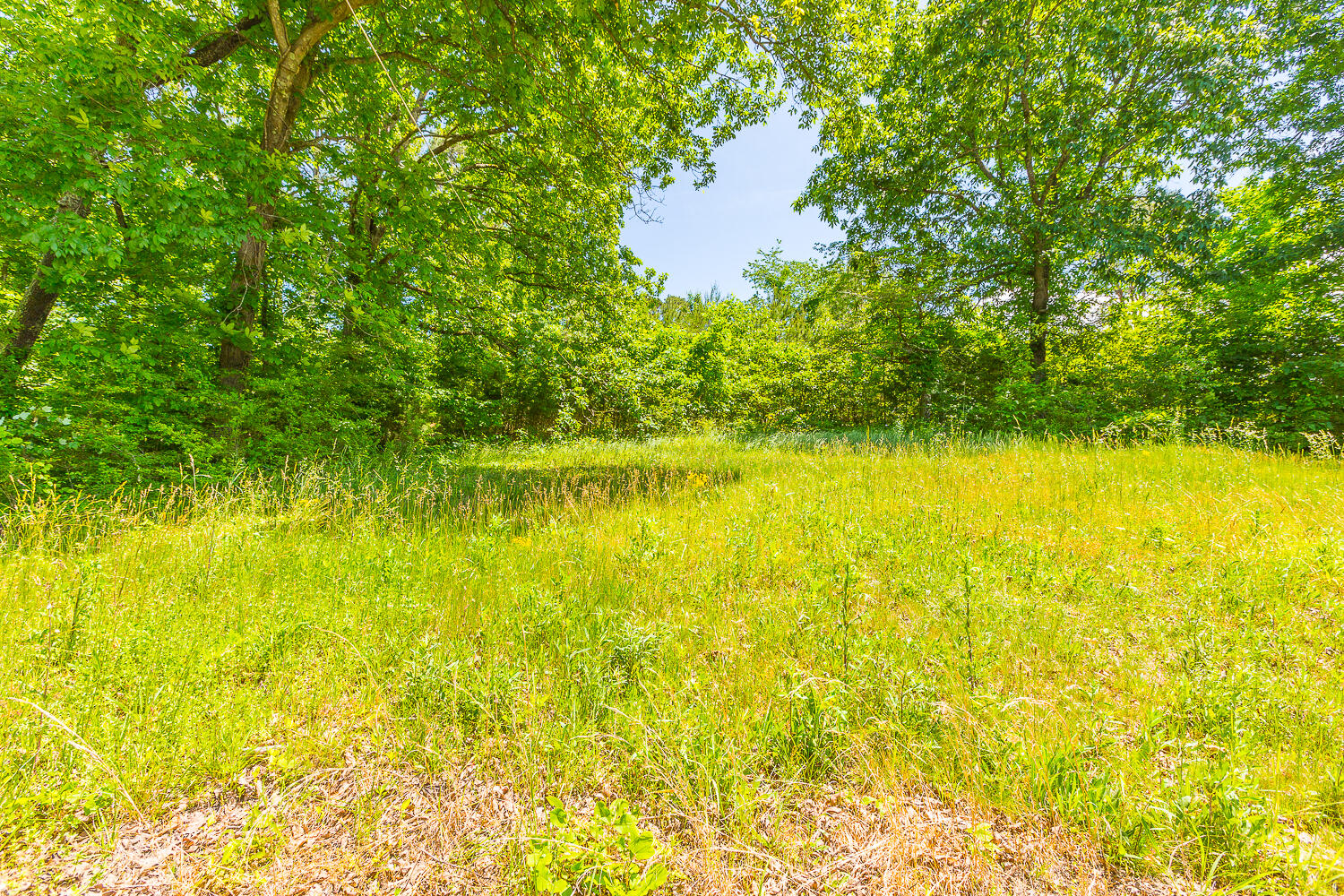 1155 Double S Road Dayton, TN 37321 - Photo 27 of 30 1155 Double S HD -12