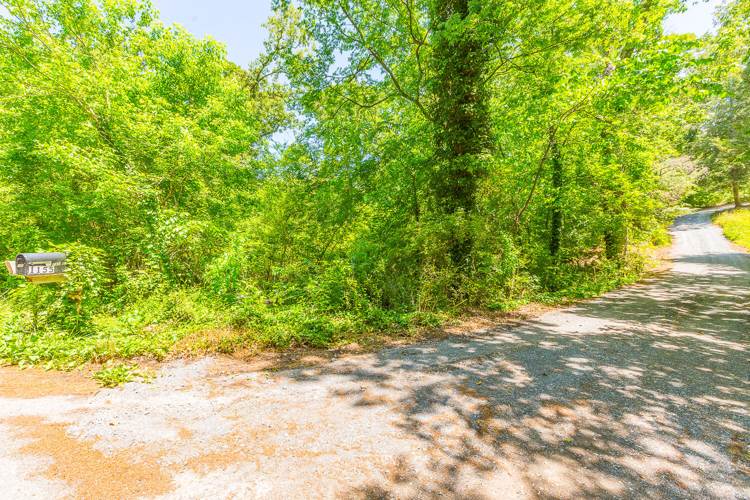 1155 Double S Road Dayton, TN 37321 - Photo 30 of 30 1155 Double S HD -3