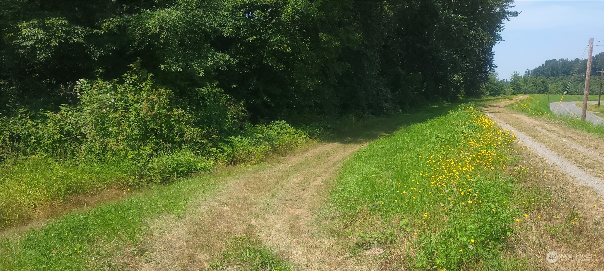 20760 Dike Road Mount Vernon, WA 98273 - Photo 5 of 6 Gallery Image 5