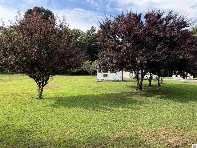 3003 Friendship Road Eddyville, KY 42038 - Photo 38 of 39 38