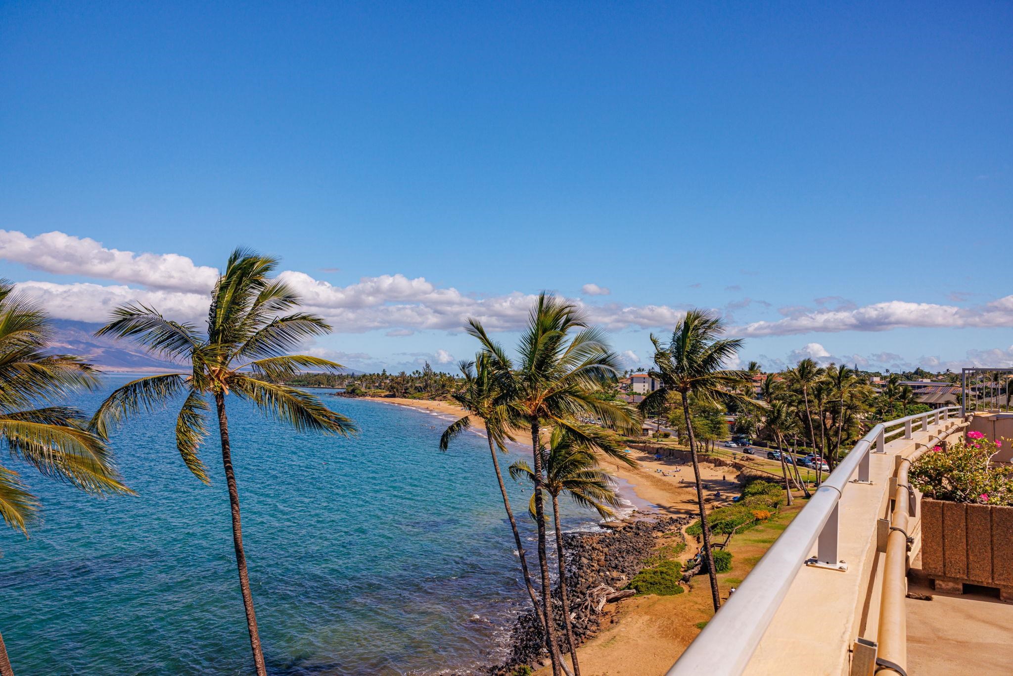2430 South Kihei Road, Unit 515 Kihei, HI 96753 - Photo 47 of 50 a view of a backyard