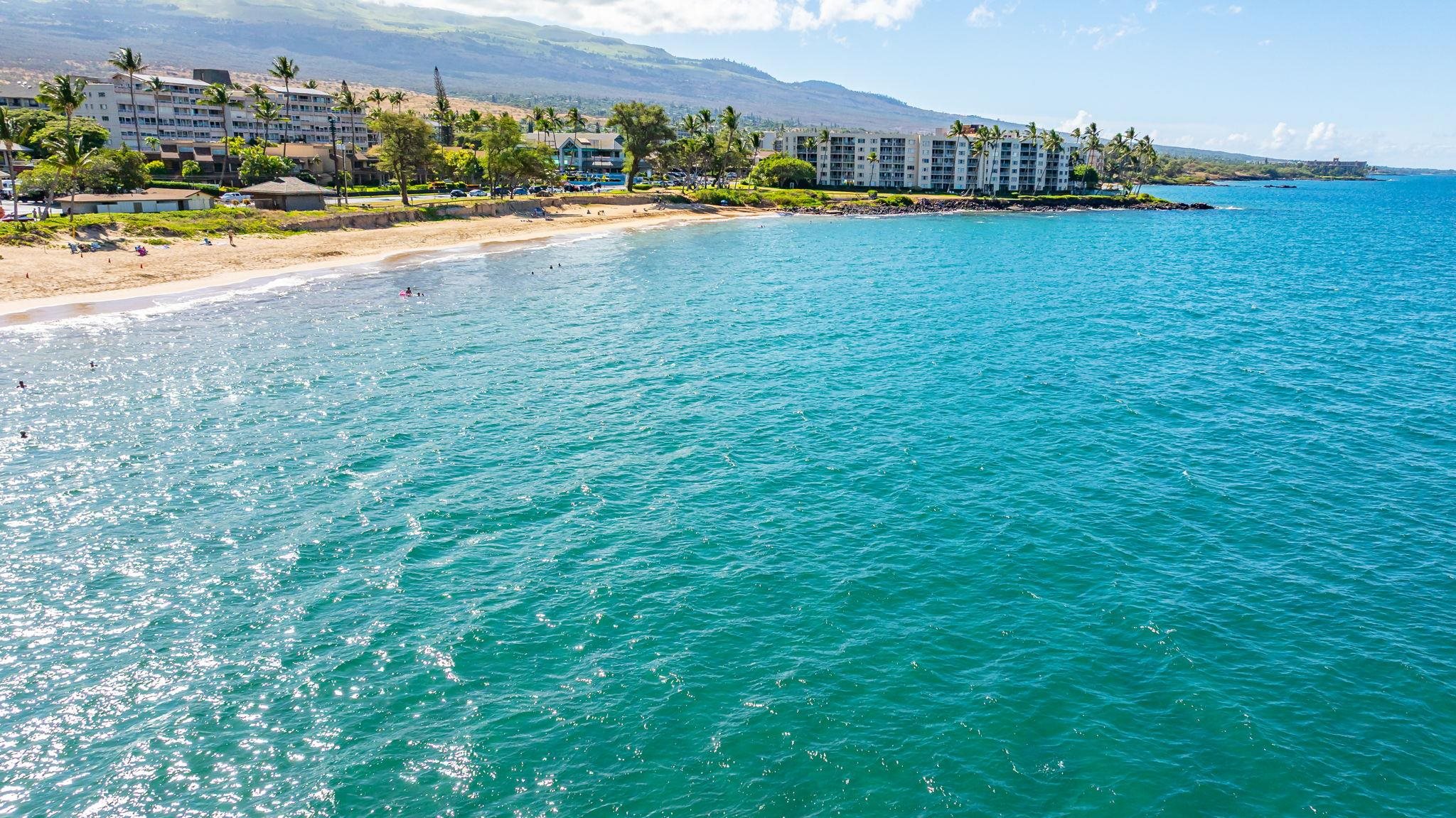 2430 South Kihei Road, Unit 515 Kihei, HI 96753 - Photo 48 of 50 an outdoor space with garden view
