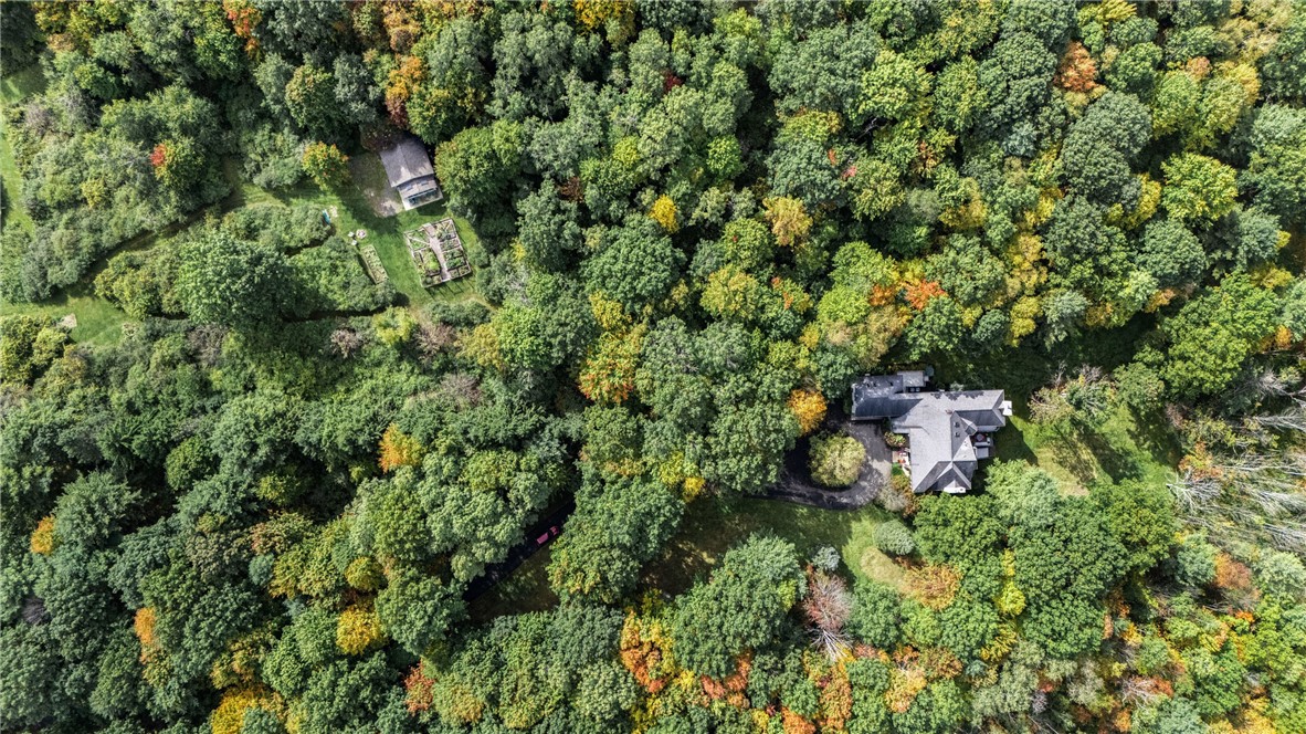 2119 Spencer Hill Road Erwin, NY 14830 - Photo 46 of 47