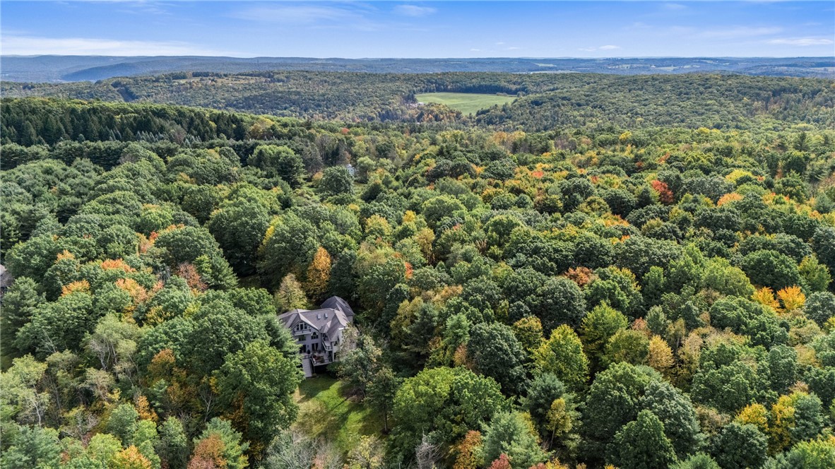 2119 Spencer Hill Road Erwin, NY 14830 - Photo 47 of 47