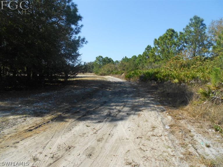 11660 Shawnee Road Fort Myers, FL 33913 - Photo 5 of 12 a view of dirt yard with a large tree