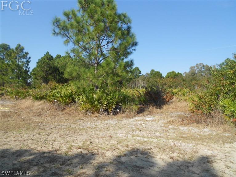11660 Shawnee Road Fort Myers, FL 33913 - Photo 7 of 12 a view of a yard with a tree