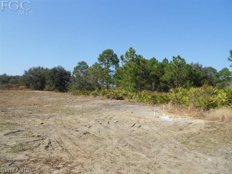 11660 Shawnee Road Fort Myers, FL 33913 - Photo 8 of 12 a view of a dry yard with trees in the background