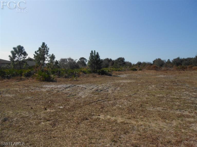 11660 Shawnee Road Fort Myers, FL 33913 - Photo 9 of 12 a view of a field with trees in background
