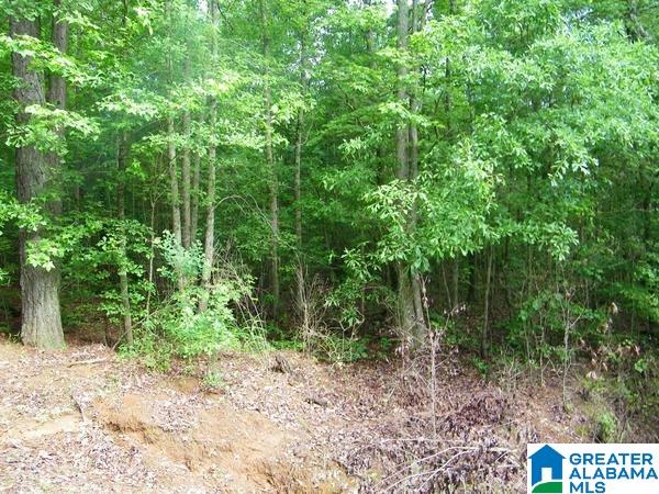 519 County Road, Unit 98 Woodland, AL 36280 - Photo 4 of 7