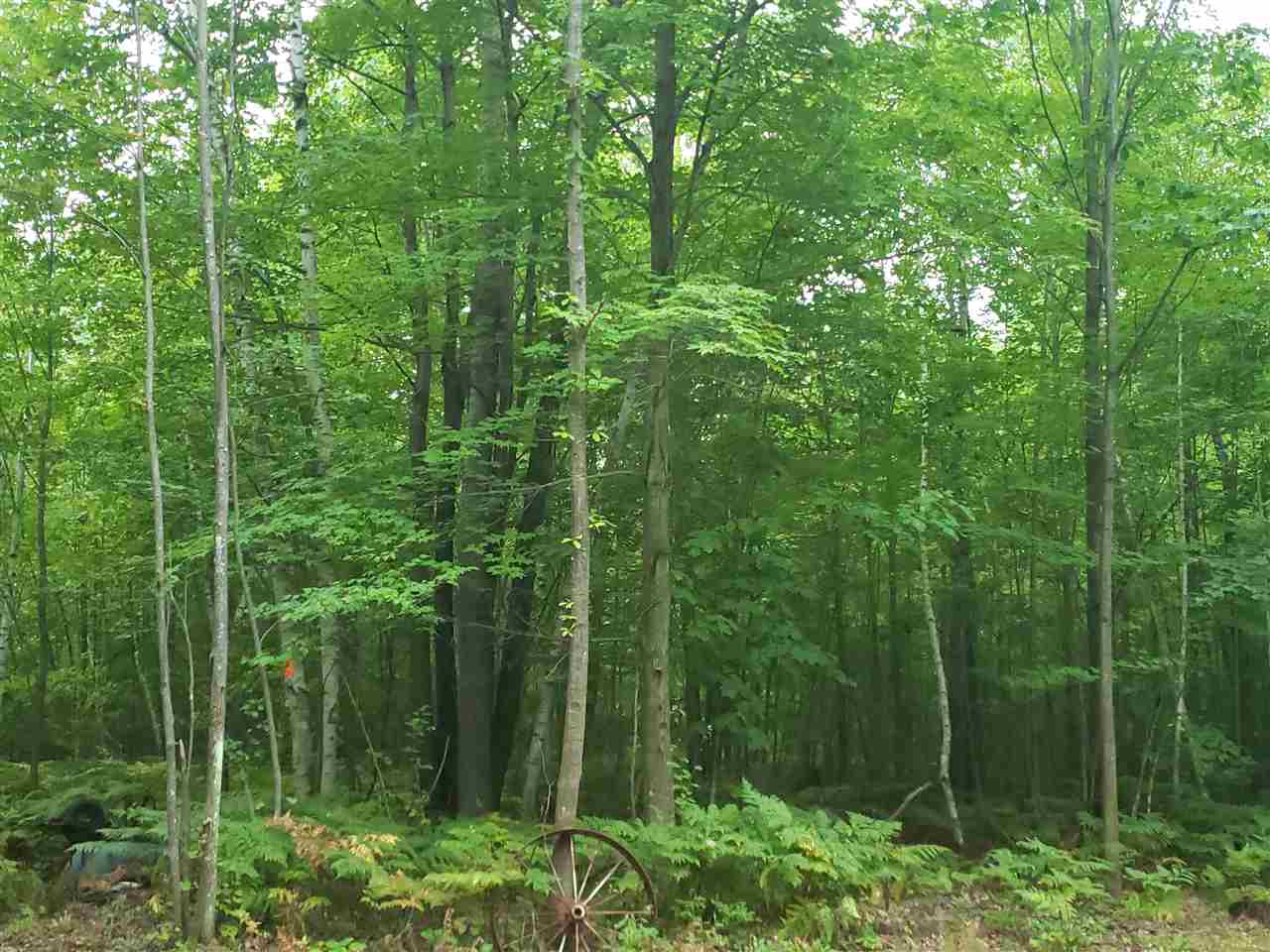 North Garfield Road Road North, Unit GARFIELD Pinconning, MI 48650 - Photo 6 of 7 Gallery Image 6