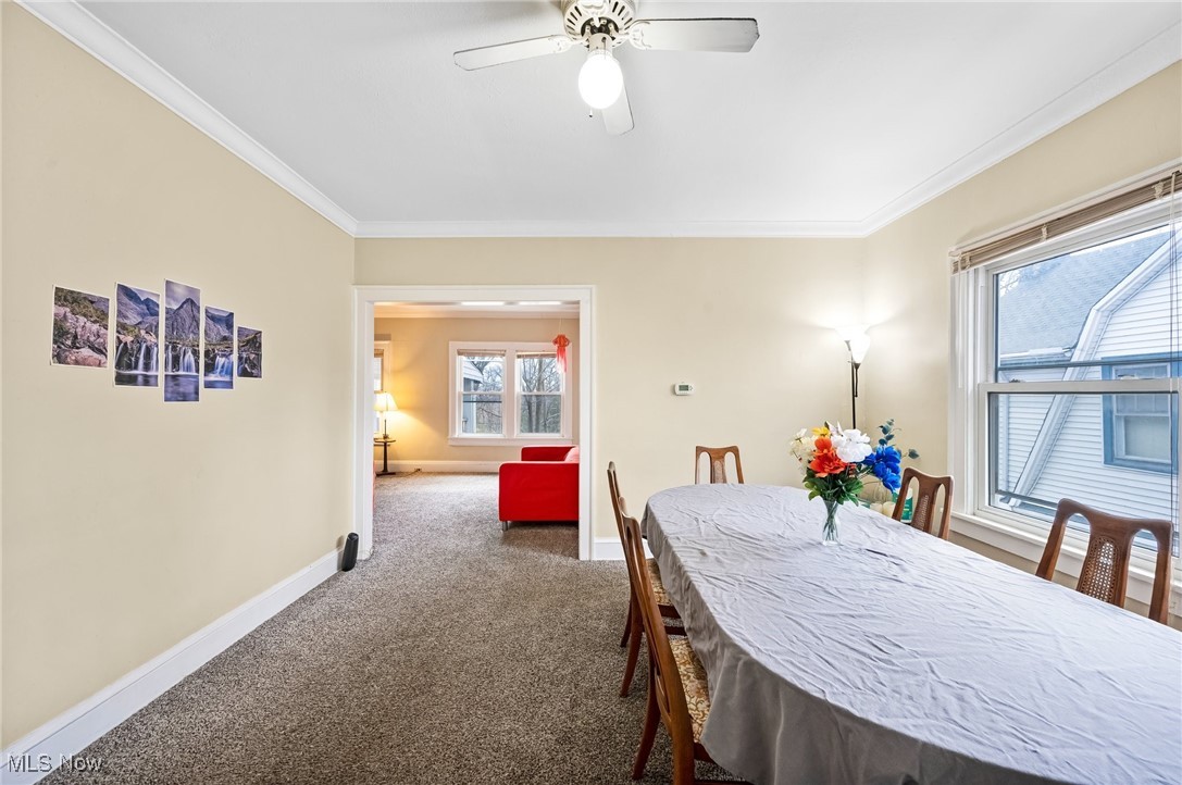 2620 Mayfield Road Cleveland, OH 44106 - Photo 25 of 26 Gallery Image 25