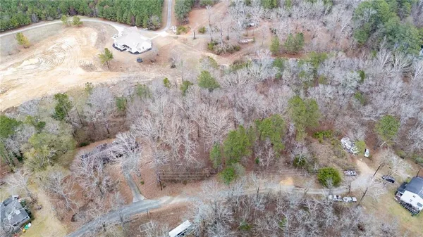 a view of a yard with plants and trees