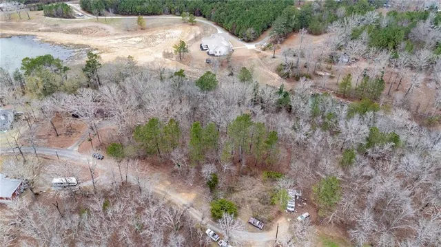 a view of a yard with plants and trees