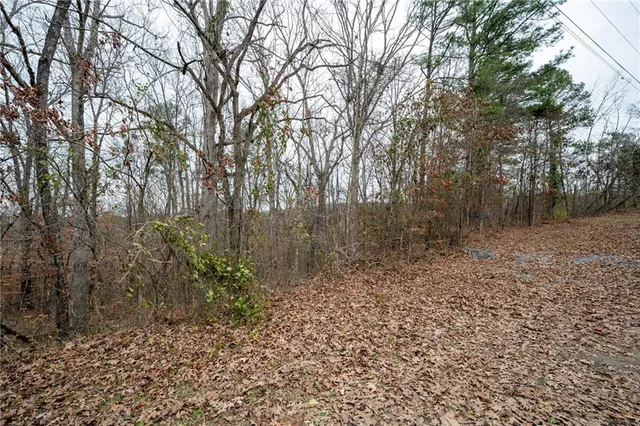 a view of a yard with large trees