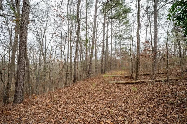 a view of a backyard of the house