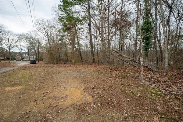 a view of a yard with trees
